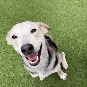 Meet your Posher, Kristy